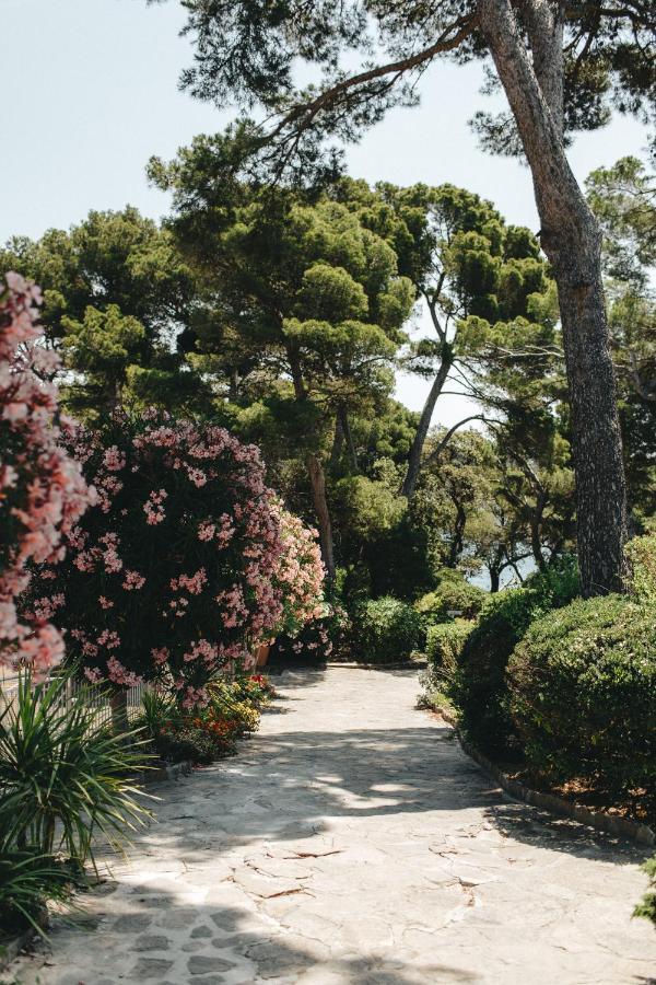 Hotel Provençal Hyères Exterior foto